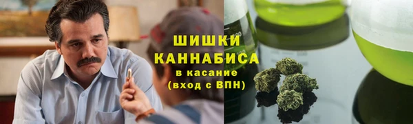 прущие грибы Алексеевка