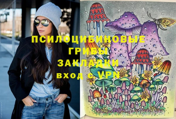 прущие грибы Алексеевка
