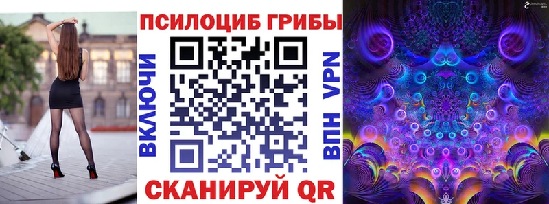 Галлюциногенные грибы Psilocybine cubensis  Балахна 